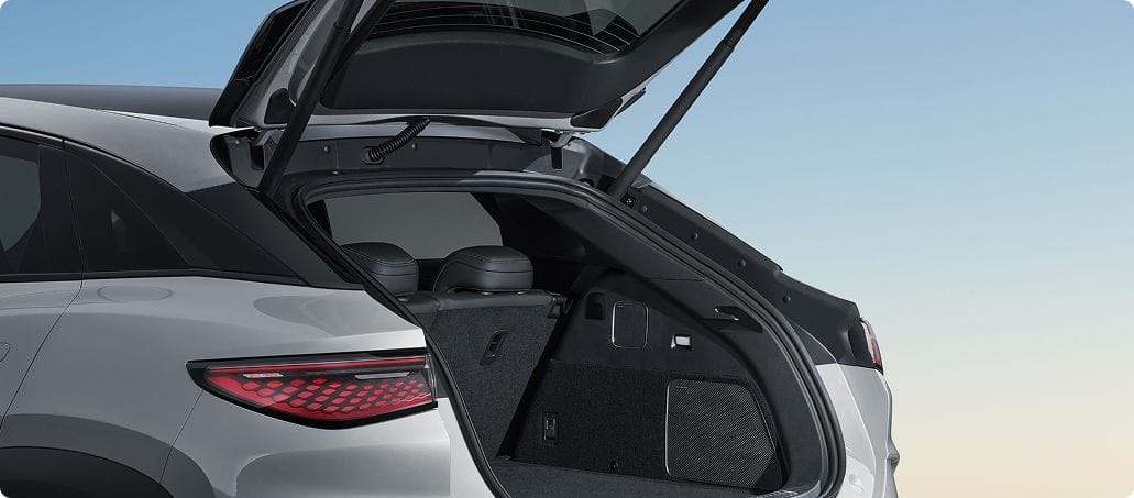 byd-auto-selion-back