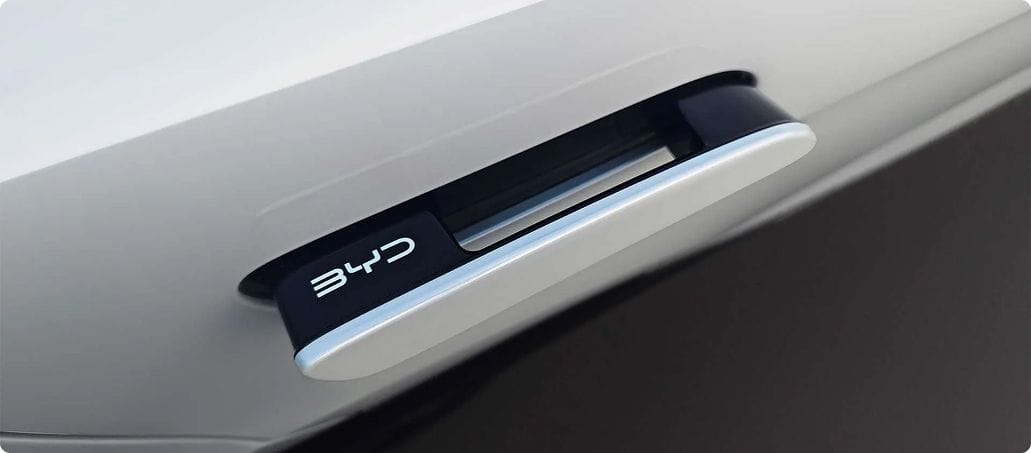 byd-auto-selion-door